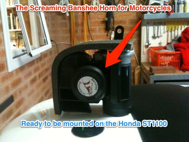 Image of the Screaming Banshee Horn