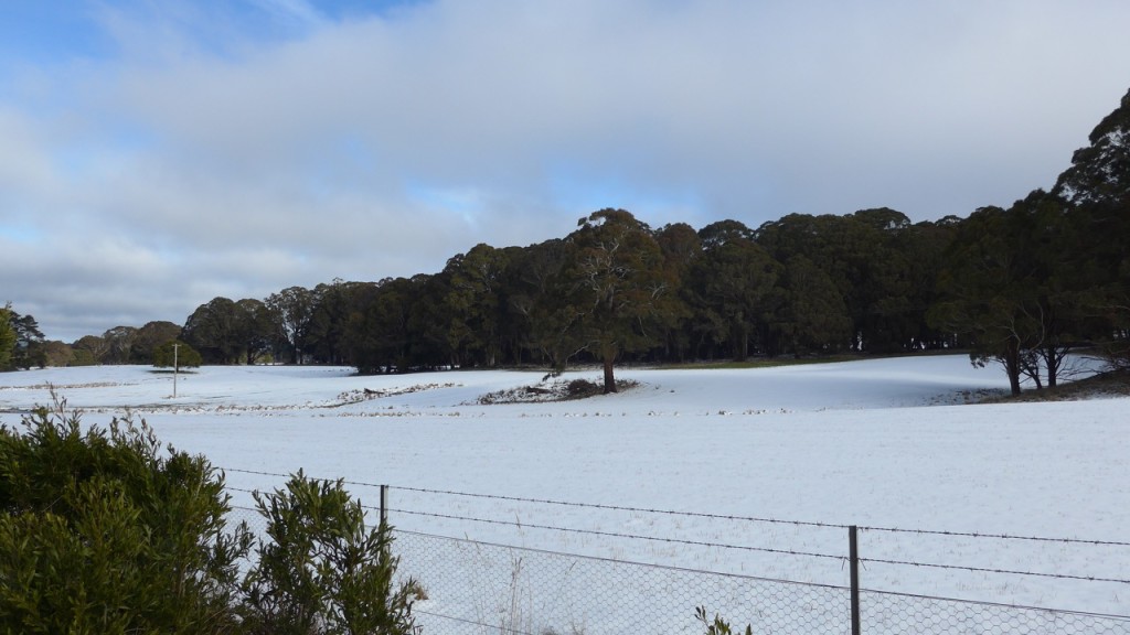 Image of Snow Motorcycle Riding White Field: Shooters Hill, NSW