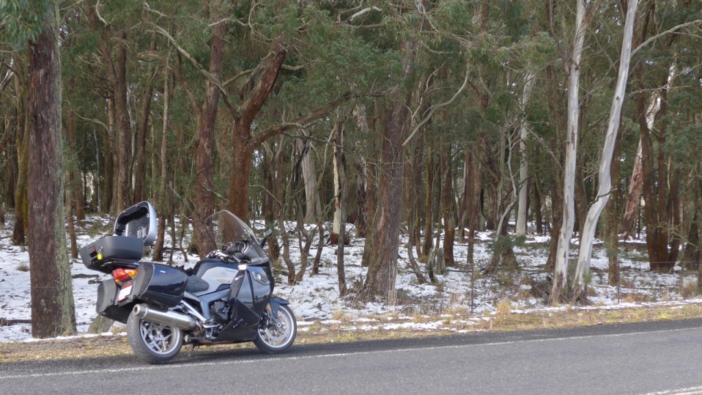 Image of Snow Motorcycle Riding, snow in the tree line: Shooters Hill, NSW